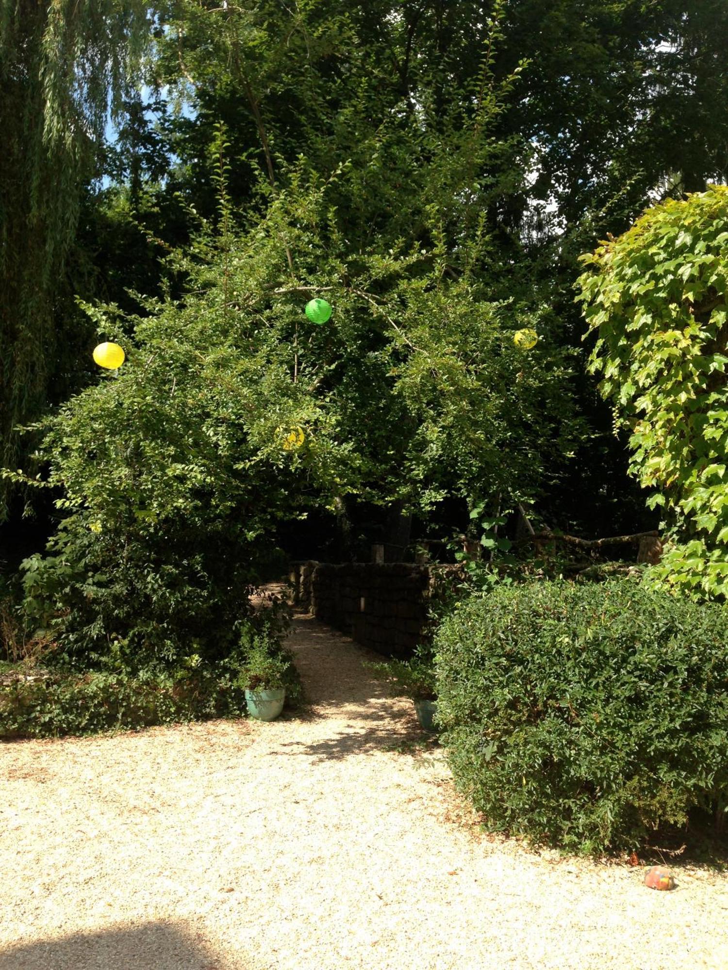 Les Chambres D'Hotes Du Bois Joli Semur-en-Auxois Εξωτερικό φωτογραφία